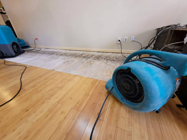 Professional Ceiling Water Damage Repair technician working in Angier, NC